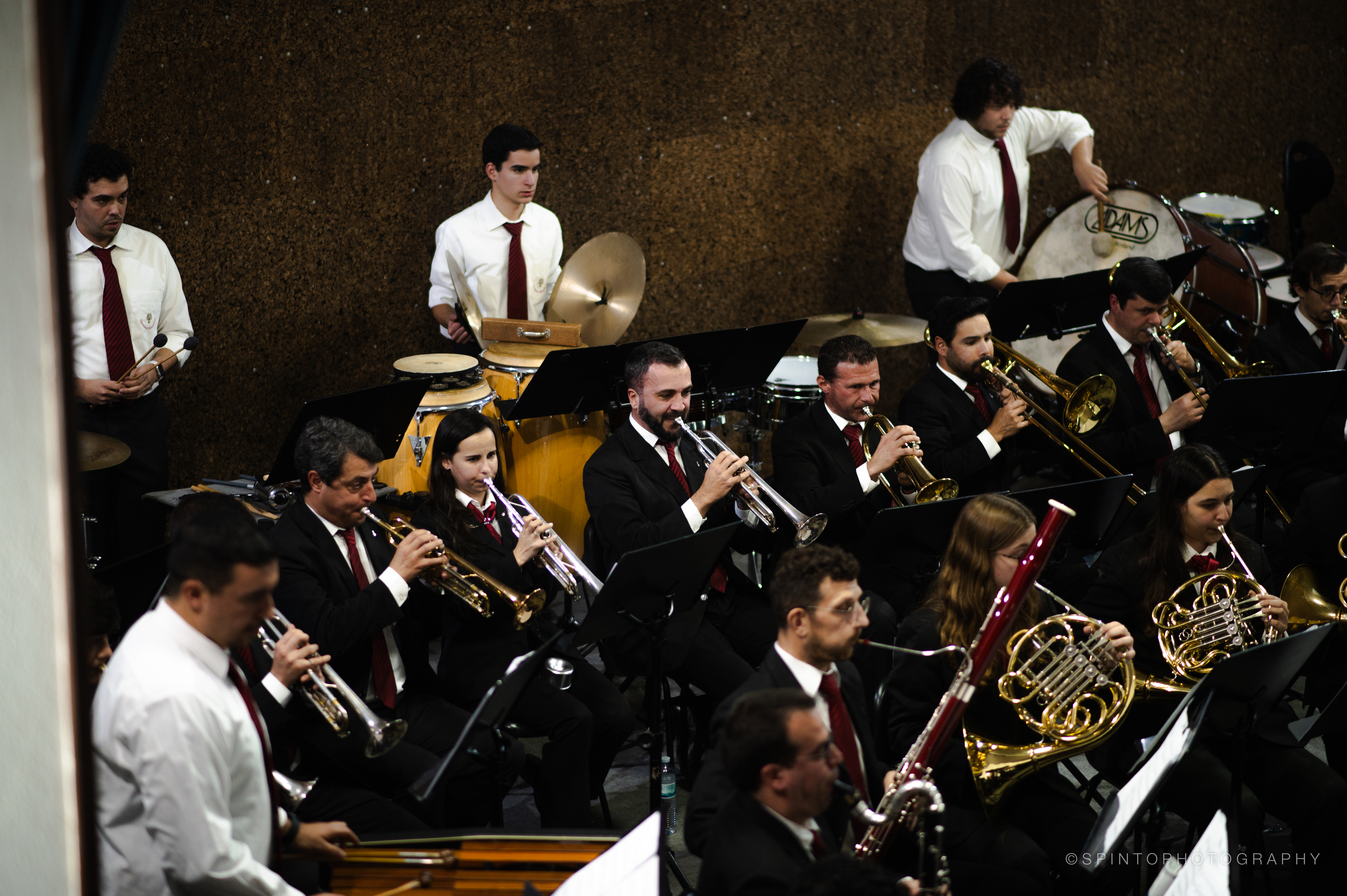 Concerto Banda Filarmónica